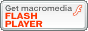 Flash Player�̃_�E�����[�h�y�[�W�փW�����v����ɂ͂��̃{�^�����N���b�N���Ă��������B